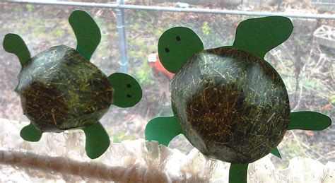 Cute 3d Turtle Craft Woo Jr Kids Activities