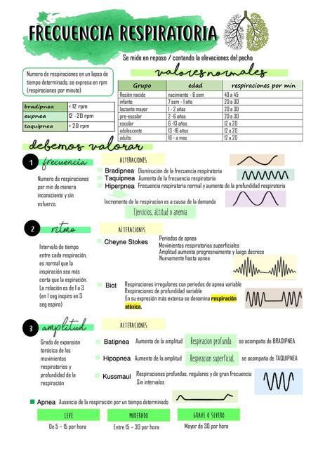 Frecuencia Respiratoria Milagritos Julca Cabezas Udocz