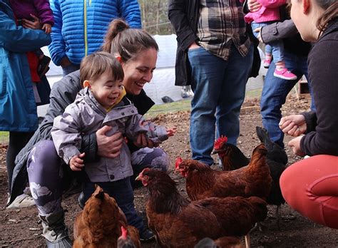 Farm Babies Every Wednesday At Newton Community Farm Drop Ins Welcome