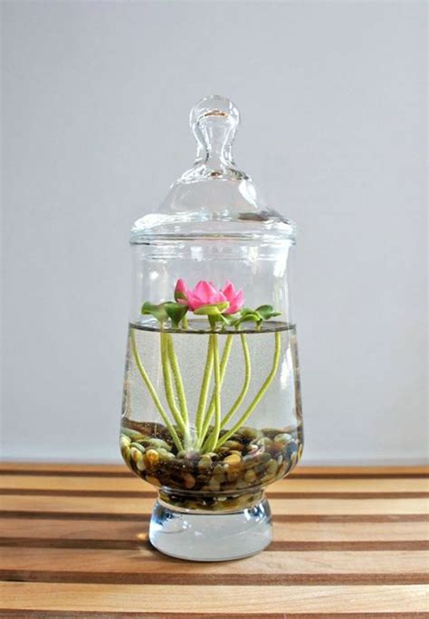 15 DIY Indoor Water Garden Ideas | HomeMydesign