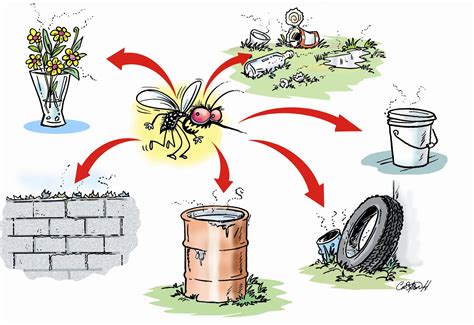 Stop Mosquito Cartoon Stock Illustration Illustration Of Control