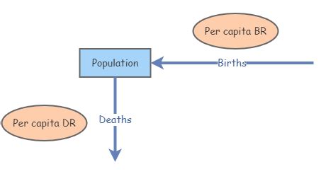 Population Model | Insight Maker