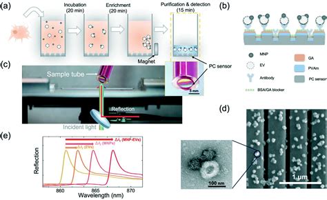 Towards Nanovesicle Based Disease Diagnostics A Rapid Single Step