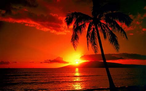 HD wallpaper: sunset, landscape, water, sky, tropical climate, beauty ...