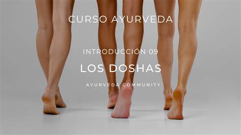 Curso Ayurveda Introducci N Los Doshas App Ayursecrets