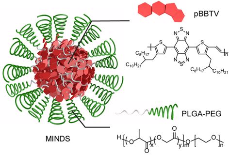 Minds Molecule Image Eurekalert Science News Releases