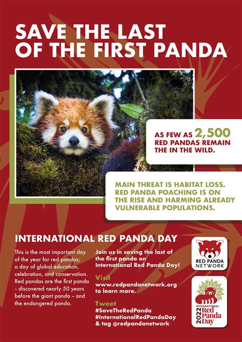 Join this Planet’s Party for Red Pandas! | Red Panda Network