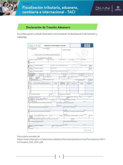 Declaracion De Transito Aduanero Pdf