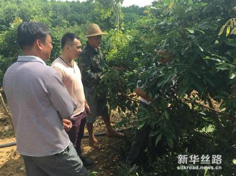 帶領村民奔小康 樂東西黎村第一書記劉柰妤成村民脫貧的定心丸 每日頭條