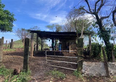 Proyectos Ecológicos México Vive la vida en un rancho junto al ri