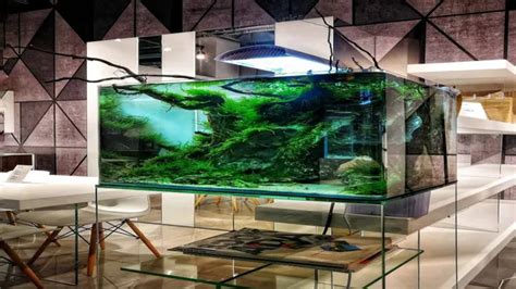 How to Become an Aquarium Designer: Tips and Tricks for Creating ...