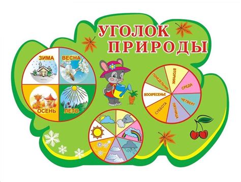 Уголок природы в детском саду оформление картинки
