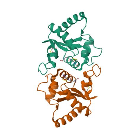 Rcsb Pdb Ylg Crystal Structure Of The Chicken Toll Like Receptor