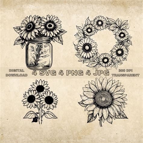 Sunflower Svg Bundle Png Sunflower Wreath Clipart Hand Drawn