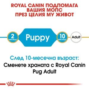 ROYAL CANIN BHN PUG PUPPY на Цена от 28 24лв Lapichki bg