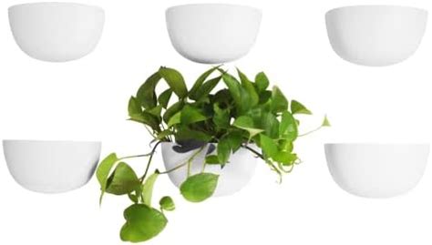 Amazon Make Good Virgo Self Watering Wall Planters Set Of