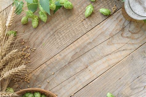 Malt And Hops Craft Beer Background With Copy Space Stock Photo Image