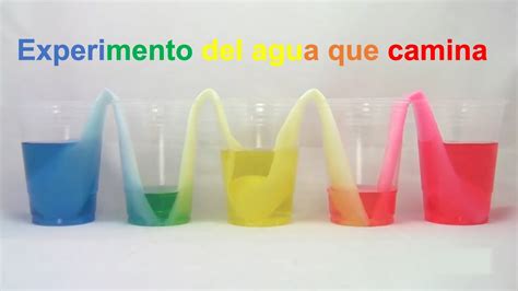 El Agua Que Camina Experimento De Colores Para Ni Os Fuerte