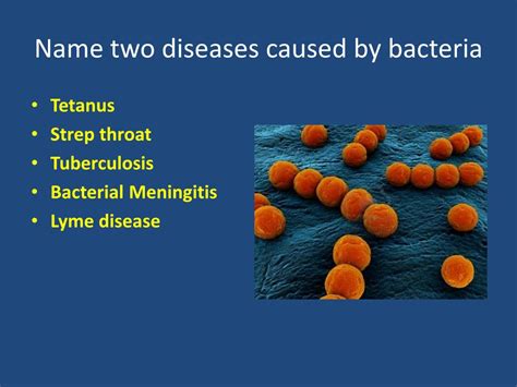 Diseases Caused By Bacteria / Xanthomonas - microbewiki / Antibiotics ...