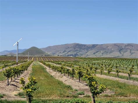 7 Great Wineries In San Luis Obispo To Visit Savored Journeys