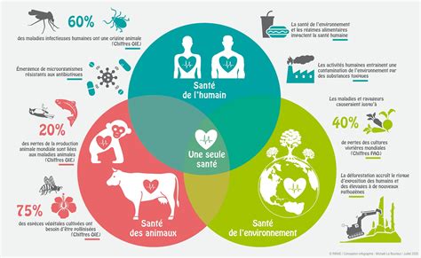 One Health une seule santé INRAE