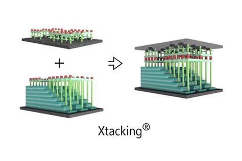 The Impending Chinese Nand Apocalypse Ymtc Layer Nand Is The