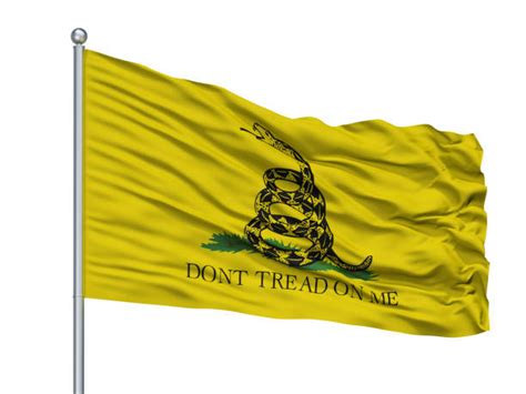 Top 60 Gadsden Flag Stock Photos Pictures And Images Istock