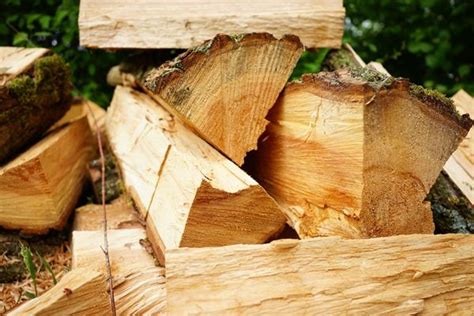 5 méthodes pour sécher son bois de chauffage rapidement Trepia