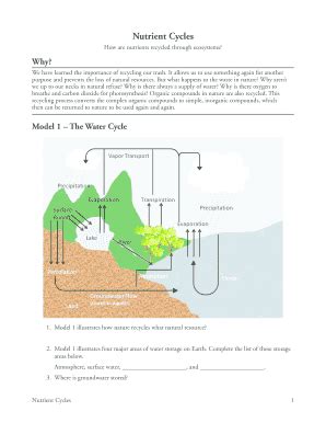 Nutrient Cycle Geography KS3 Worksheet - Rainforests | Teaching ... - Worksheets Library