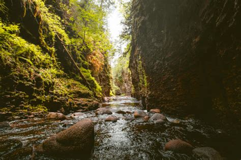 Take An Easy Out And Back Trail To Enter Another World At Kadunce River