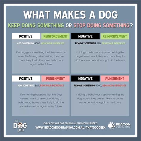 operant conditioning quadrants  dogs   beacondogtraining