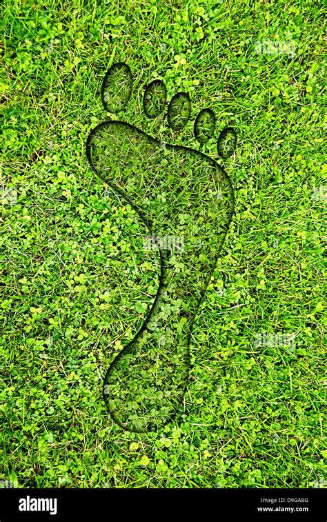 Ecological Footprint Hi Res Stock Photography And Images Alamy