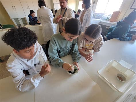 Visita Al Ies El Alisal Colegio Manuel Cacicedo