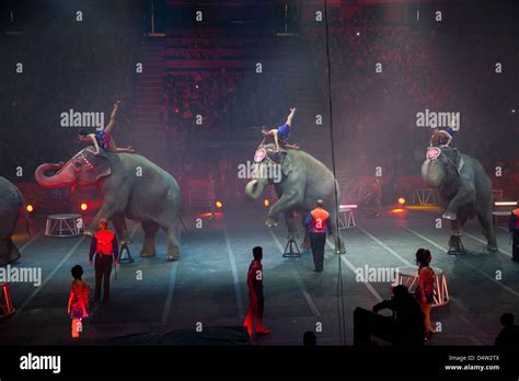 Ringling Bros Y Barnum Bailey Circus Elefantes Fotografía De Stock Alamy