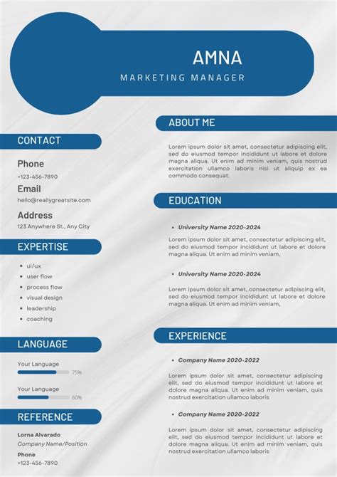 Professional Resume Cv Cover Letter And Linkedin By Amnagraphics12