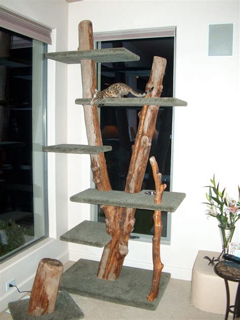 phoenix garden furniture 3