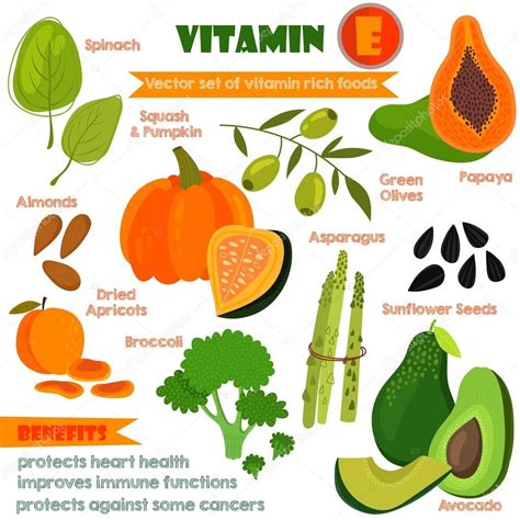 Vitamins And Minerals Foods Illustrator Set Vector Set Of Vit Stock