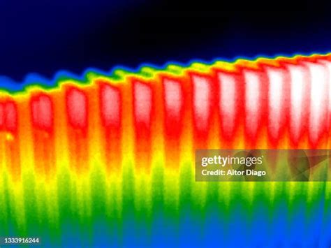 4,539 Thermal Image Stock Photos, High-Res Pictures, and Images - Getty ... 