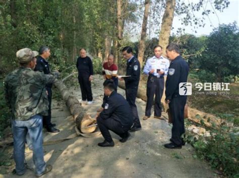 句容市森林警察大队及时制止一起重大滥伐林木案件今日镇江