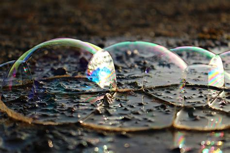 nature, blow, day, bubble, drop, close-up, glass - material, shiny ...