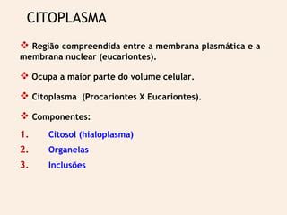 Componente Mais Abundante Do Citoplasma - Citoplasma | PPT