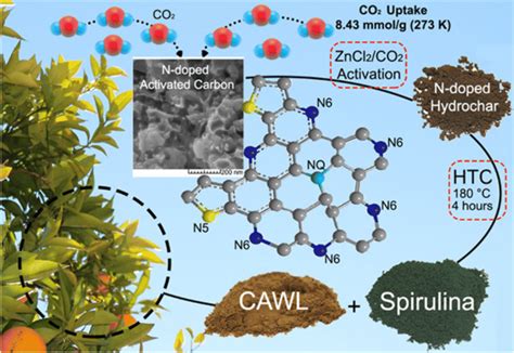 Schematic Representation Of Co Hydrothermal Carbonization Of Citrus