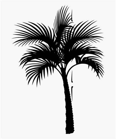 Coconut Silhouette Vector At Vectorified Collection Of Coconut