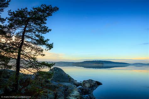 FOTOKONST NATUR SKÄRGÅRD Tall på klippa skärgården Mats fotokonst