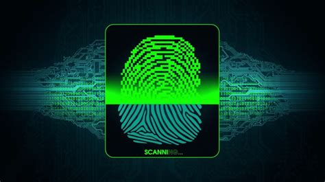 Identificaci N Biom Trica A Trav S De Las Huellas Dactilar Es Biometrics