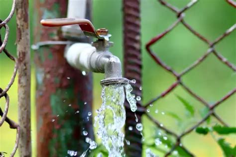 6 Types Of Outdoor Faucets Mn Plumbing And Home Services