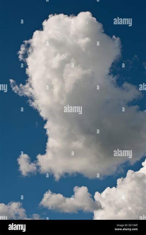 Cumulus Congestus Wolken Fotos Und Bildmaterial In Hoher Aufl Sung