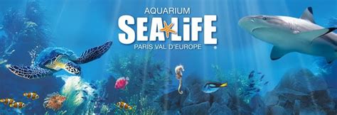 Aquarium Sea Life Paris Val D Europe Billets Pas Chers Mytravelpass