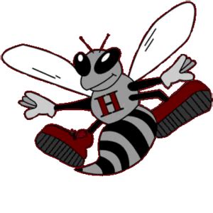 The Hudson Hornets - ScoreStream