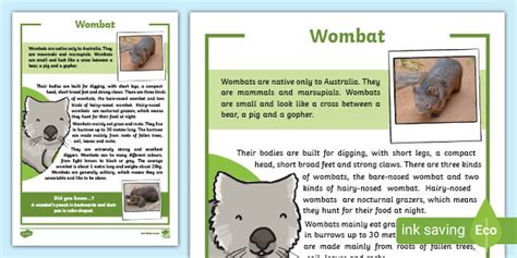 Wombat Fact Sheet (teacher made)